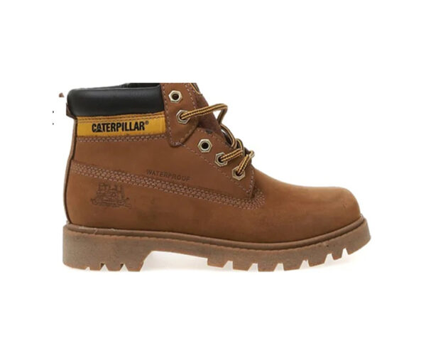 Shoes Caterpillar